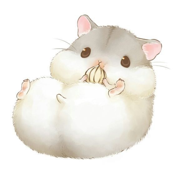 Ảnh Chuột Hamster Dễ Thương, Cute, Hài Hước Nhất Mới Nhất 2023 | Đh Xây  Dựng Hà Nội